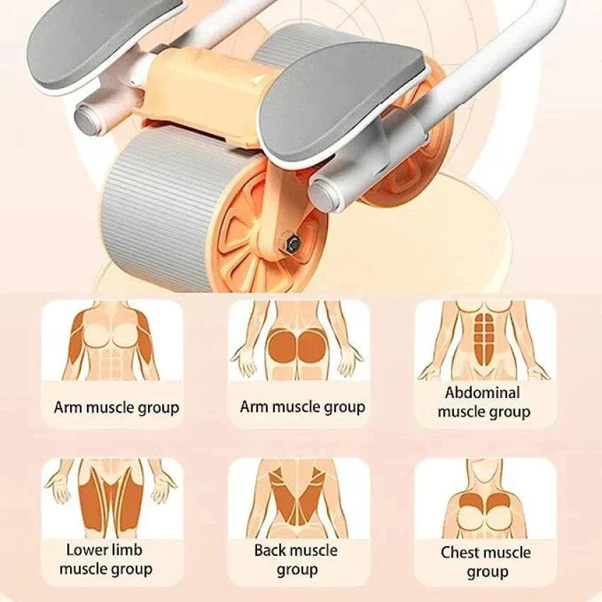 Ab Abdominal Exercise Roller for Core Strength and Stability - Luxemir Store