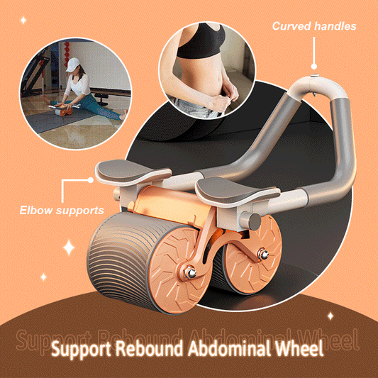 Ab Abdominal Exercise Roller for Core Strength and Stability - Luxemir Store