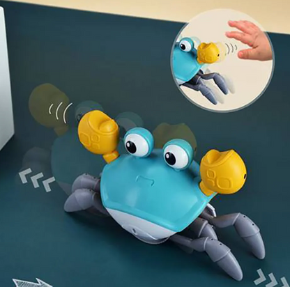 Sensory Toy Crab - Luxemir Store