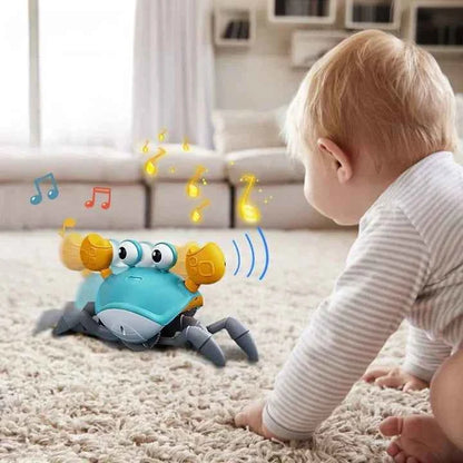 Sensory Toy Crab - Luxemir Store