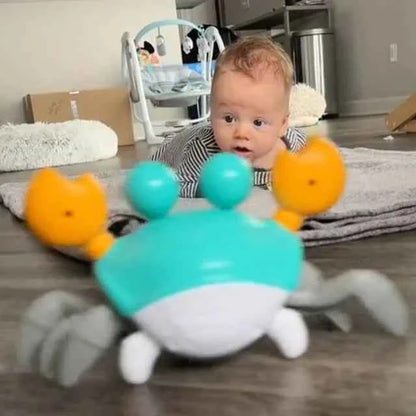 Sensory Toy Crab - Luxemir Store