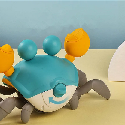 Sensory Toy Crab - Luxemir Store